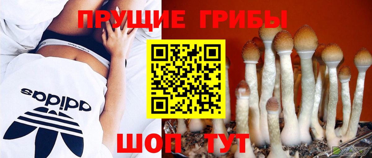 Галлюциногенные грибы MAGIC MUSHROOMS Тамбов